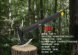 Топор FIREBIRD FSA02-YE