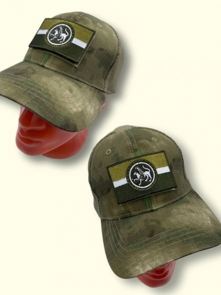 Нашивка на липучке флаг РТ (Татарстан) с гербом, полевая, 7х5см