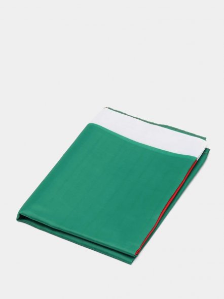 Флаг Республики Татарстан