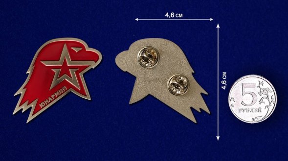 Знак "Юнармия"  4,6х4,6