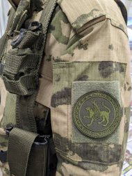 Нашивка, шеврон вышитый на липучке Герб Республики Татарстан, 8см