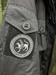 Нашивка, шеврон вышитый на липучке Герб Республики Татарстан, 8см