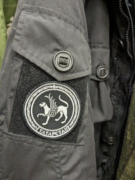 Нашивка, шеврон вышитый на липучке Герб Республики Татарстан, 8см