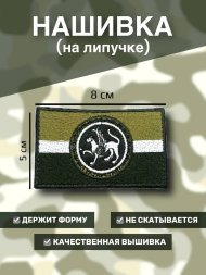 Нашивка на липучке флаг РТ (Татарстан) с гербом, полевая, 8х5см