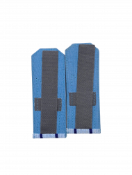 Погоны голуб. 2 вас.пр. (ФСБ нов/обр рубашка)